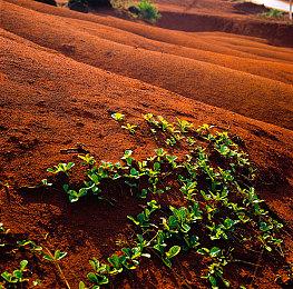 《一起来造动物园》新DLC五月上线 免费更新同步推出